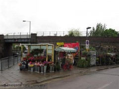 Percy Chapman & Sons Garden Centre image