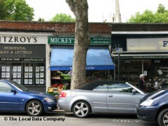 Mickeys image