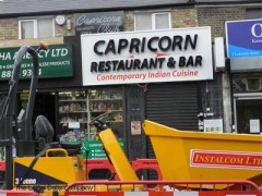 Capricorn image