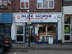 Blue Horse image