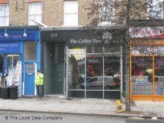 Coffee Tree image