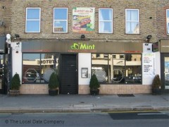 The Mint image