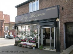 Lily Blossom image