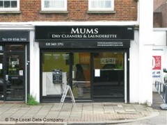 Mums image