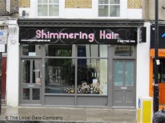 Shimmering Hair image