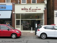Willis B image