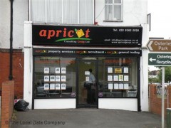 Apricot Consulting Group Ltd image