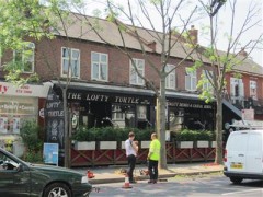 The Lofty Turtle image