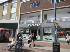 Tiger image