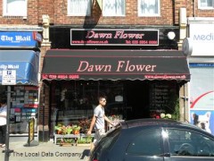 Dawn Flower image