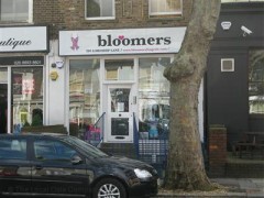 Bloomers image