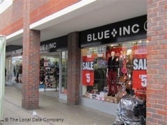 Blue Inc image