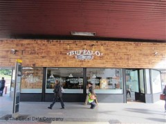 Buffalo image