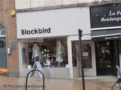 Blackbird image