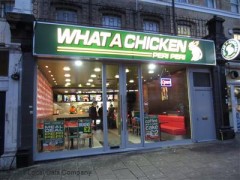 What A Chicken image