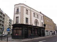 The Lion image