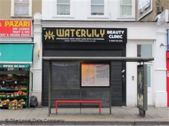 Waterlily image