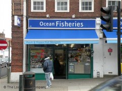 Ocean Fisheries image