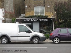 Nellie Boxer Flowers image