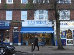 Blue Ocean image