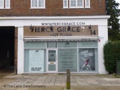 Fierce Grace image