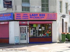 Lady Bee image