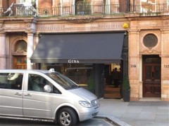 Gina Shoes image