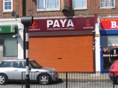 Paya image