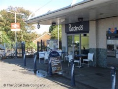Puccino's image