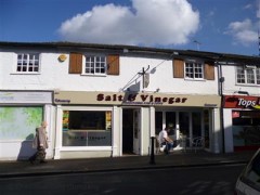 Salt & Vinegar image