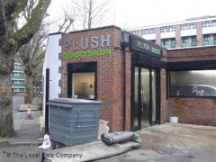 Plush Beauty Salon image