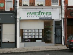 Evergreen image