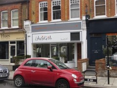 Lavingia image
