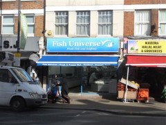 Fish Universe  image
