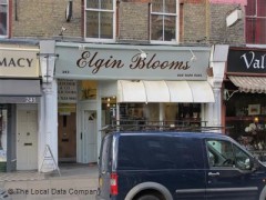 Elgin Blooms image