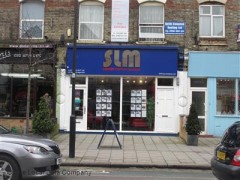 SLM image
