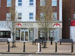 Swans image