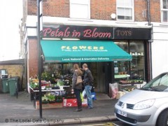 Petals in Bloom image