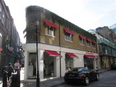 Ottolenghi image