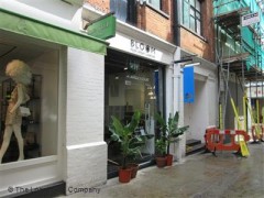 Bloom image