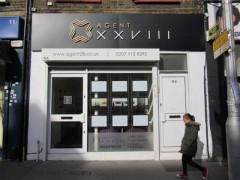 Agent XXVIII image