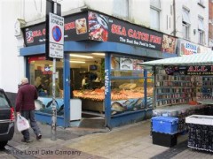 Sea Catch Fish image