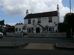The White Bear image
