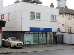 Reed image