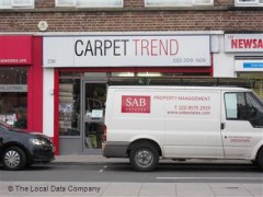 Carpet Trend image
