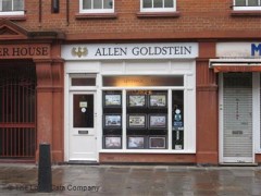 Allen Goldstein image