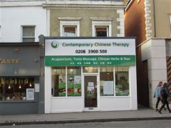 Contemporary Chinese Therapy image