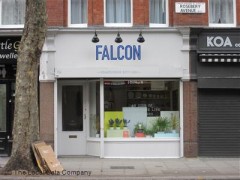Falcon image