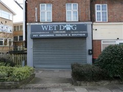 Wet Dog image