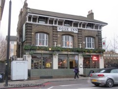 The Rose image